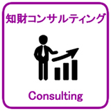 知財コンサルティング_Consulting