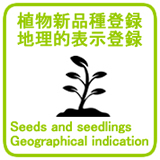 農林水産省管轄・種苗法関連登録_Seeds and seedlings, Geographical indication