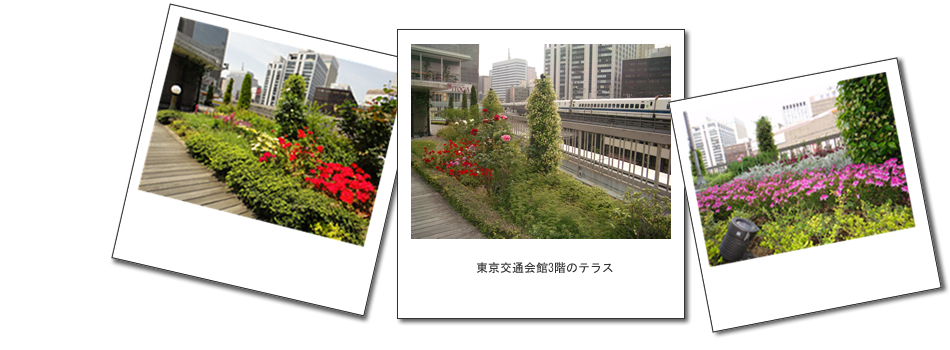 東京交通会館3階のテラス