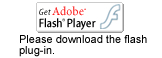 please download the flash plug-in